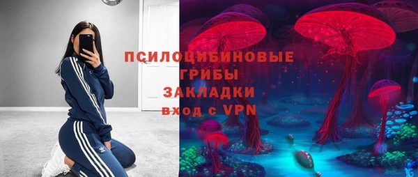 прущая мука Алексин