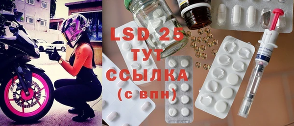 ПСИЛОЦИБИНОВЫЕ ГРИБЫ Алзамай