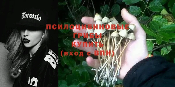 Альфа ПВП Покачи