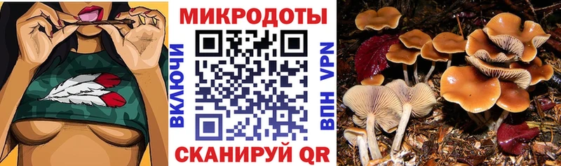 Галлюциногенные грибы Cubensis  где купить наркоту  Серов 